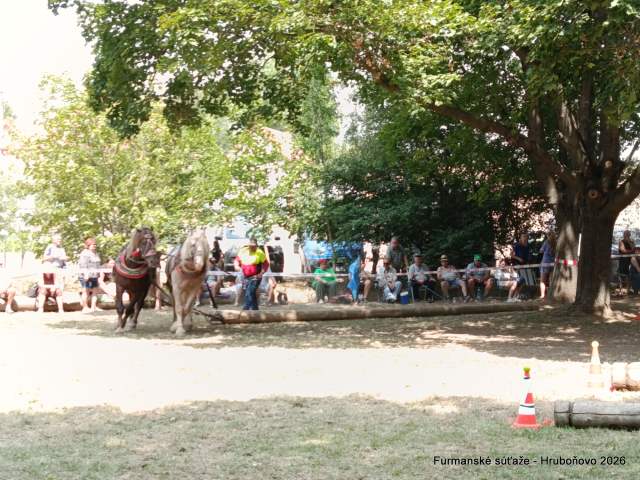 IMG_20260801_130848